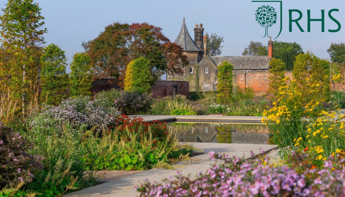 Daffodils at RHS Bridgewater 