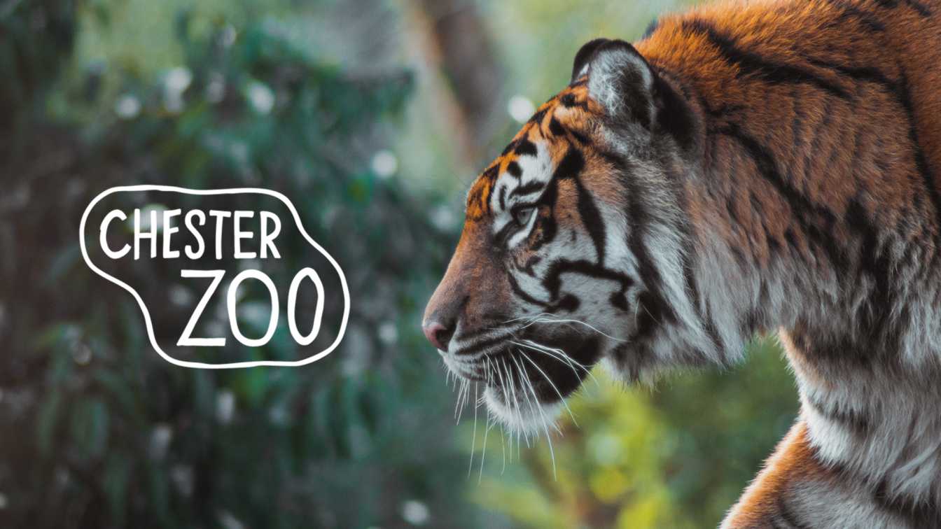Chester Zoo Easter Special