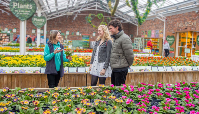 Barton Grange Primrose Festival & Garstang 