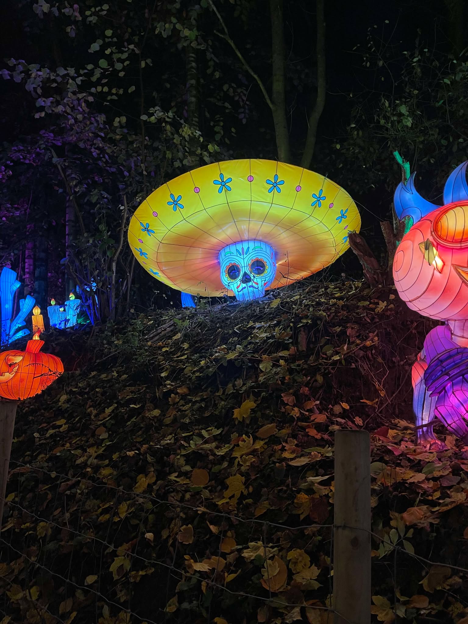 Land of Lights at Gulliver's World