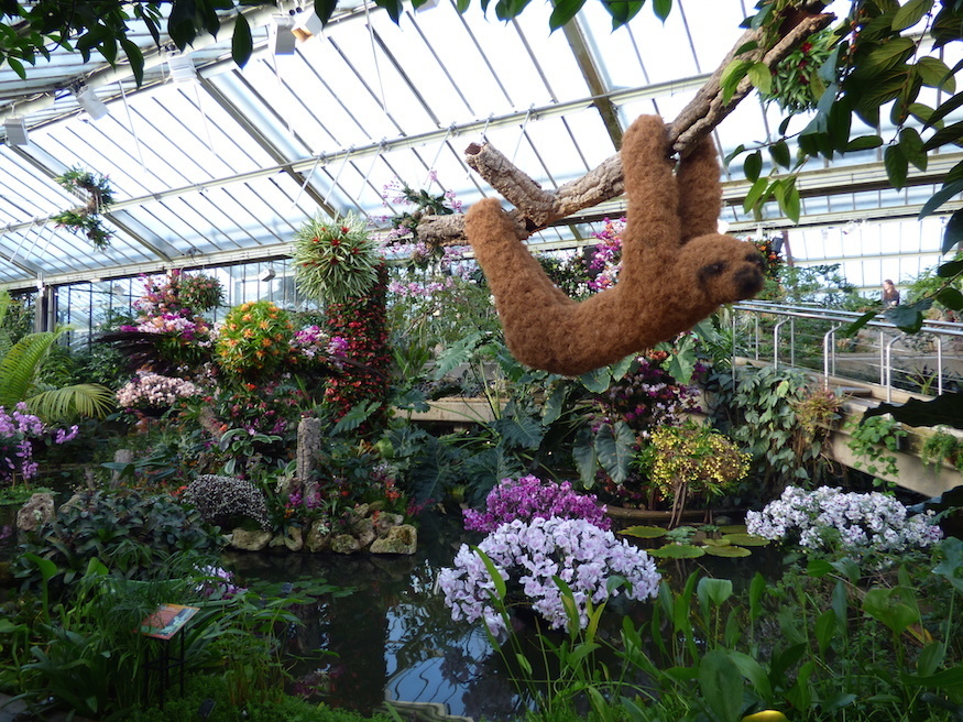 Kew Gardens Iconic Orchid Festival